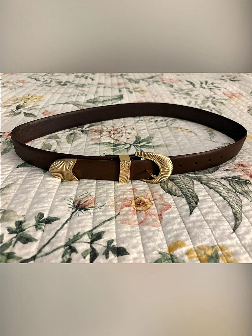 Jason Wu Leather Belt in Brown & Gold
